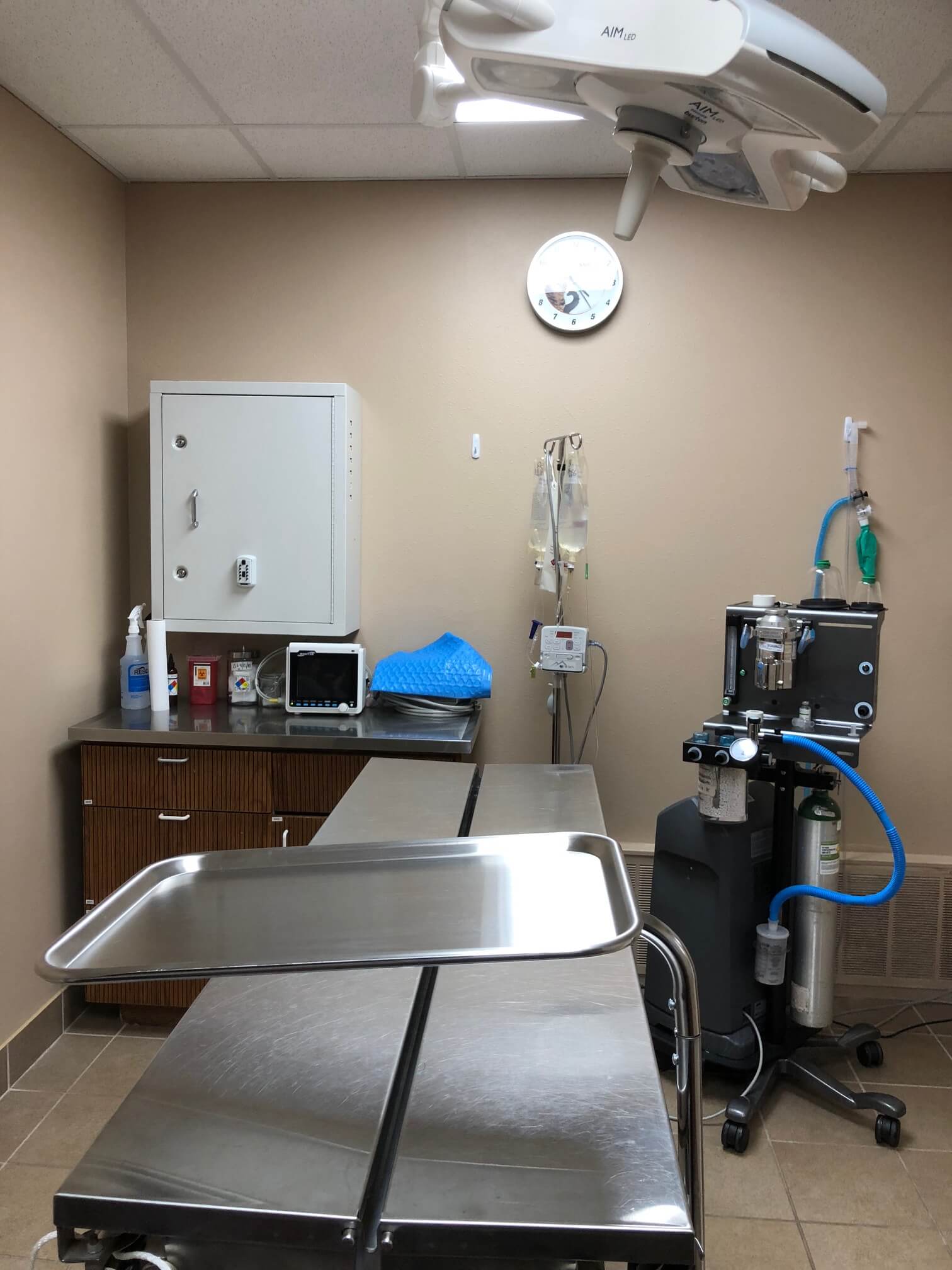 Tour Downtown Veterinary Clinic Milwaukee Vet