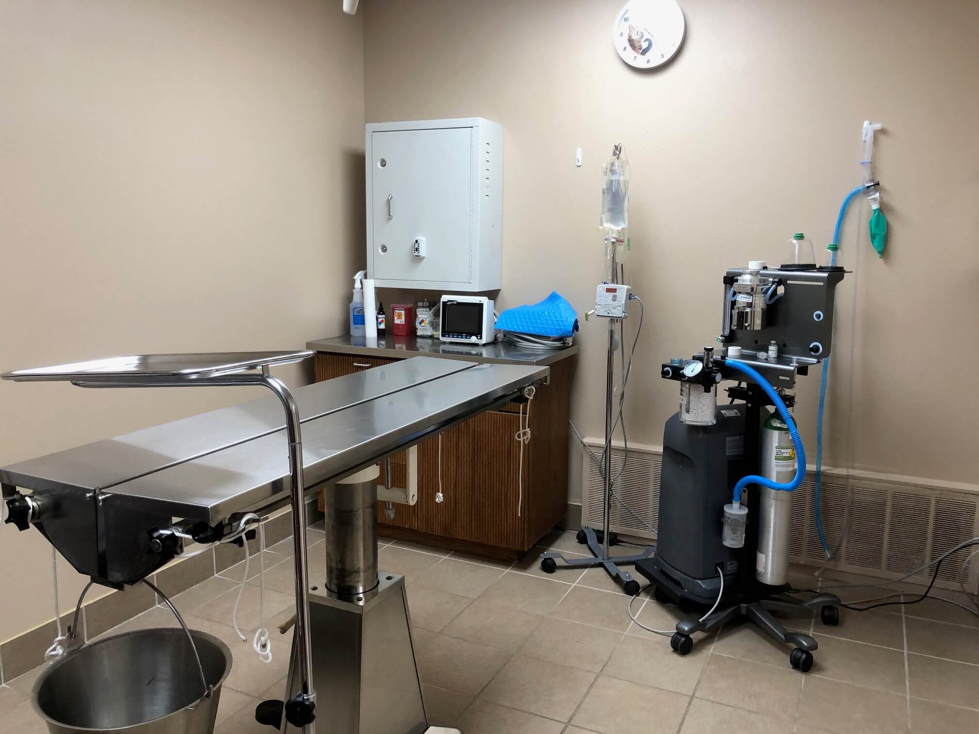 Tour Downtown Veterinary Clinic Milwaukee Vet