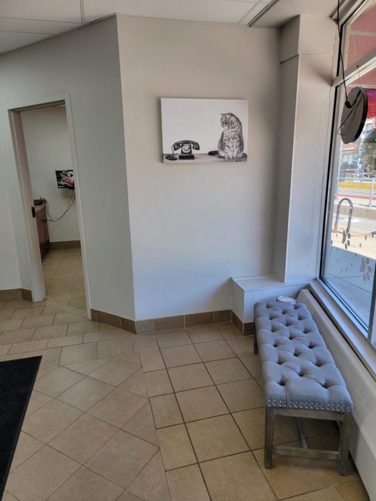 Tour Downtown Veterinary Clinic Milwaukee Vet